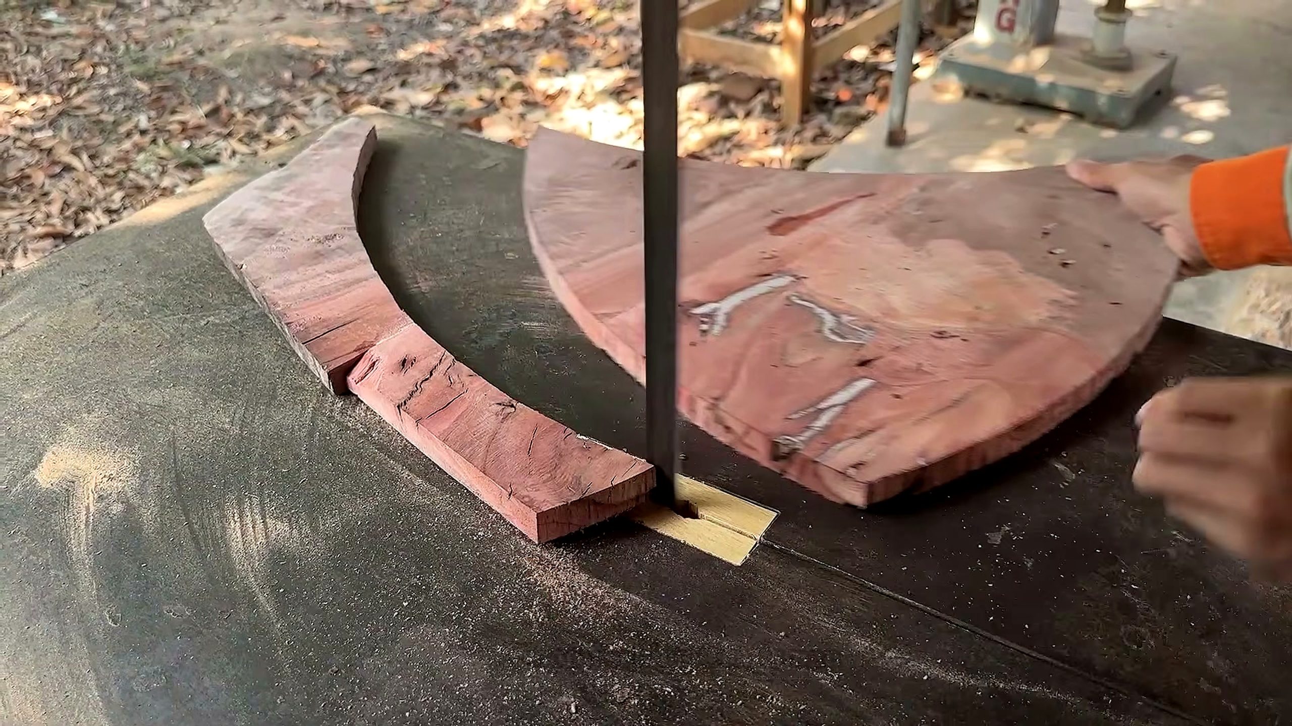 one expected these redwood panels look - the source video context before the main process is judged