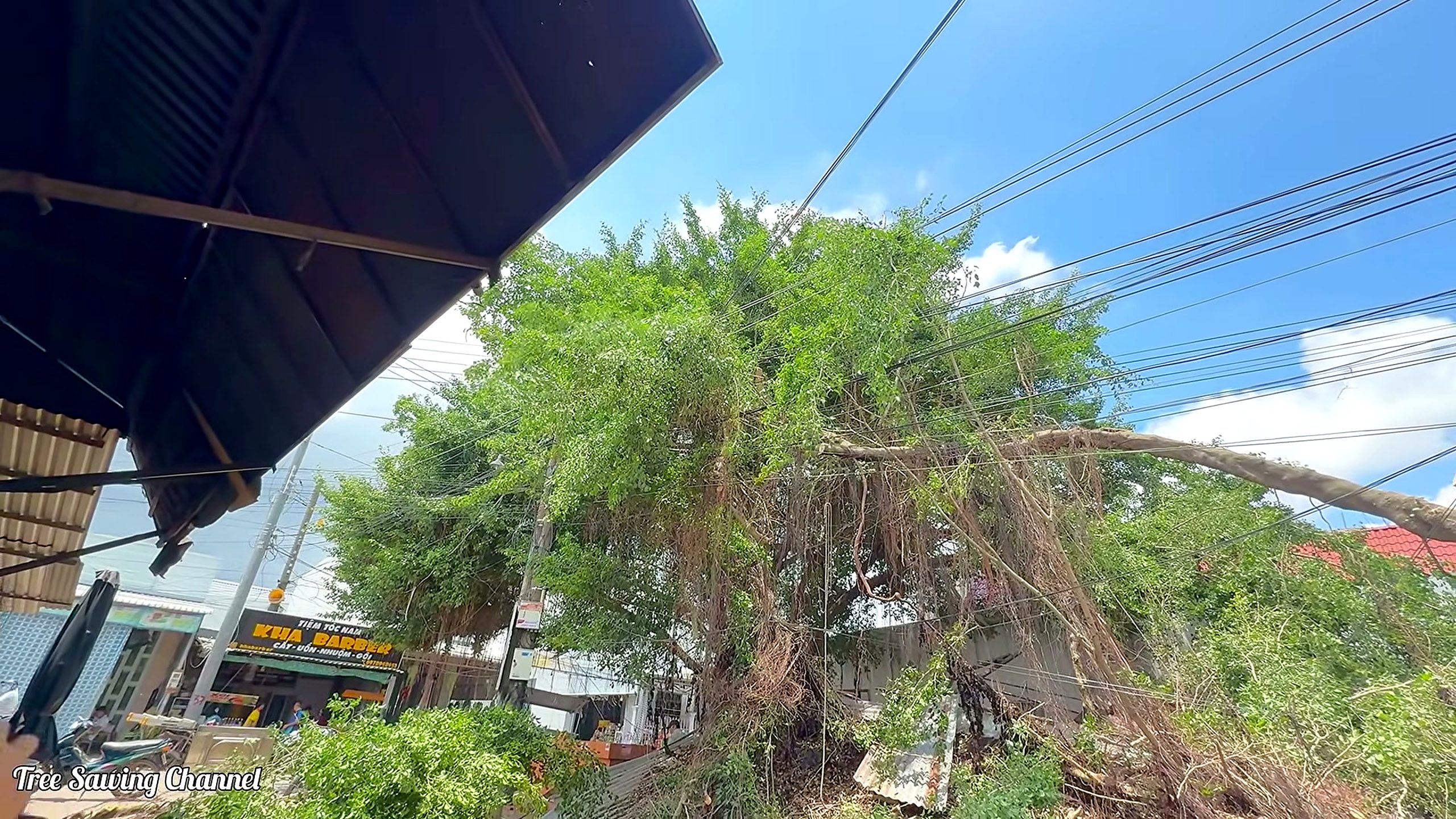 over 100 people flee panic tree - the later review stage where the result can be evaluated