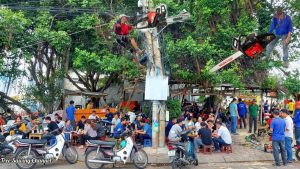 over 100 people flee panic tree - YouTube original thumbnail