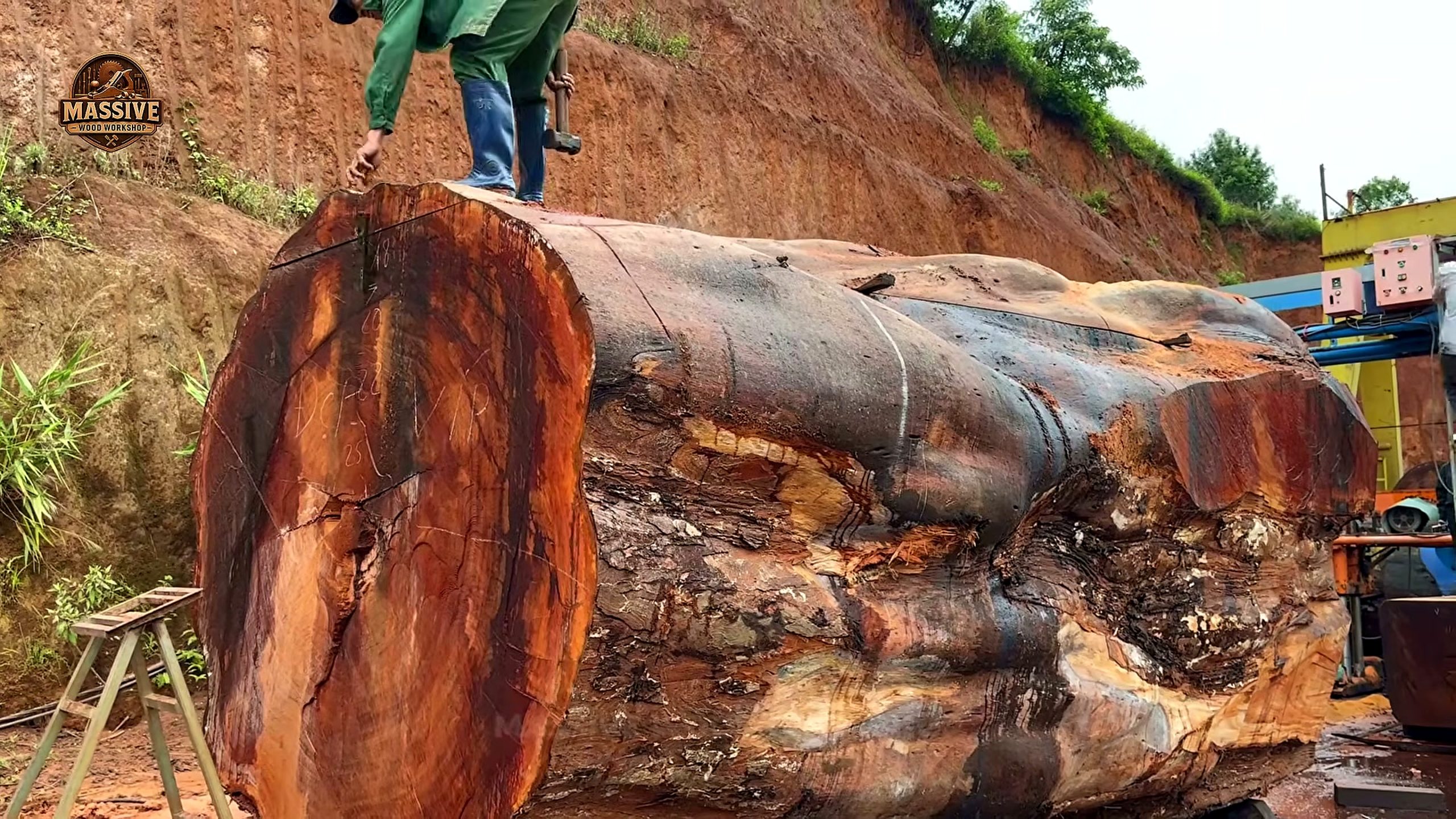 rare timber - main machine stage during the timber process