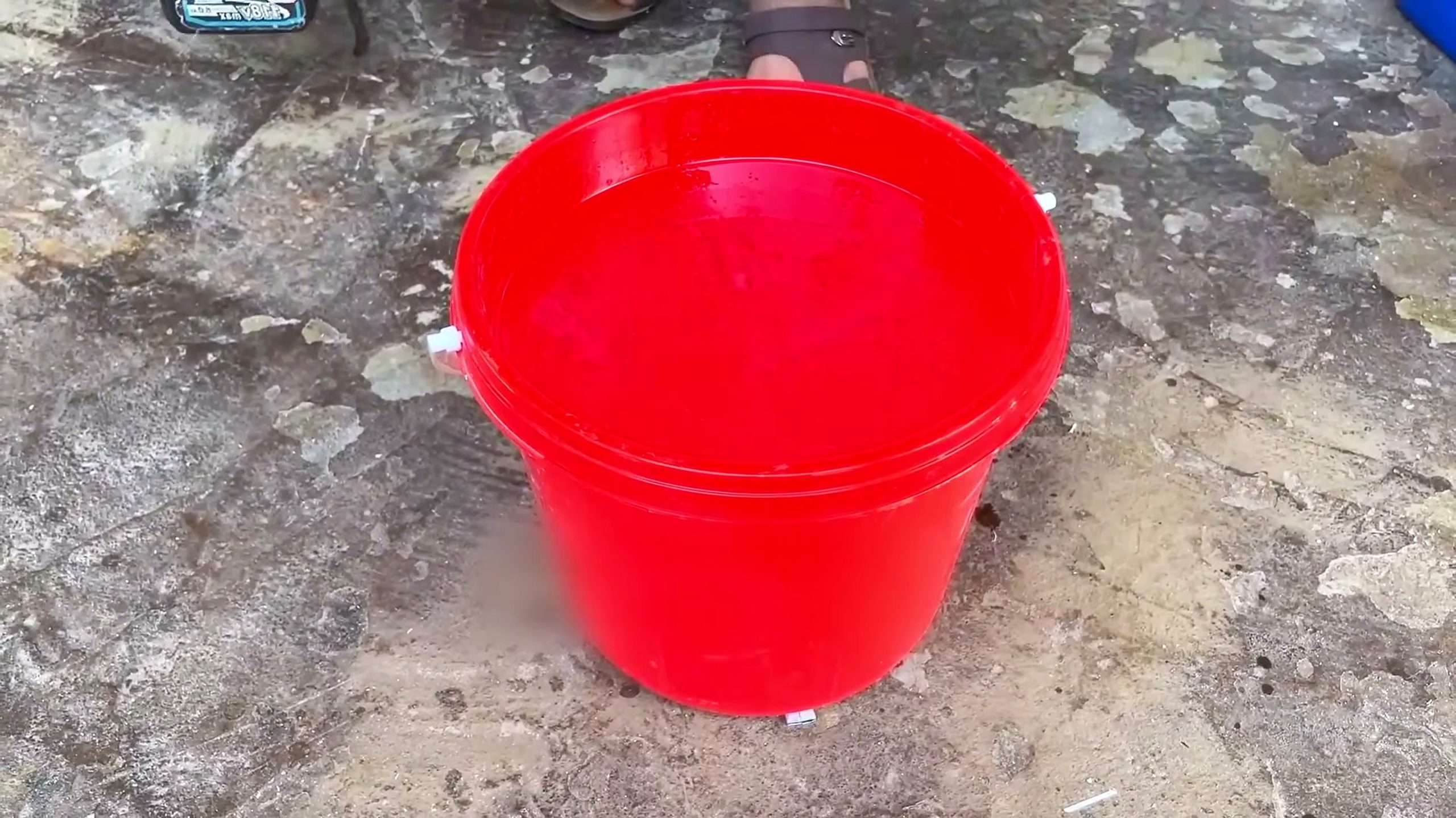 solid rough burl wood - the source video context before the main process is judged