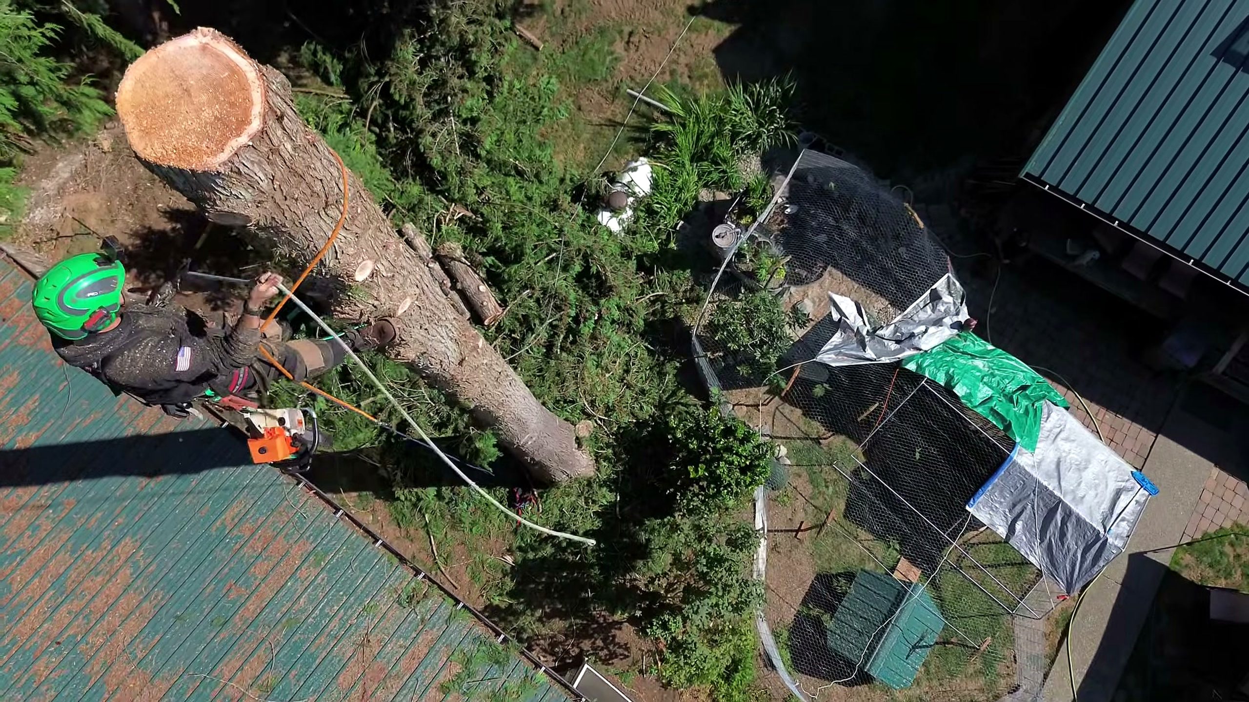 these trees were twice tall thought - the main work stage that carries the video's practical lesson