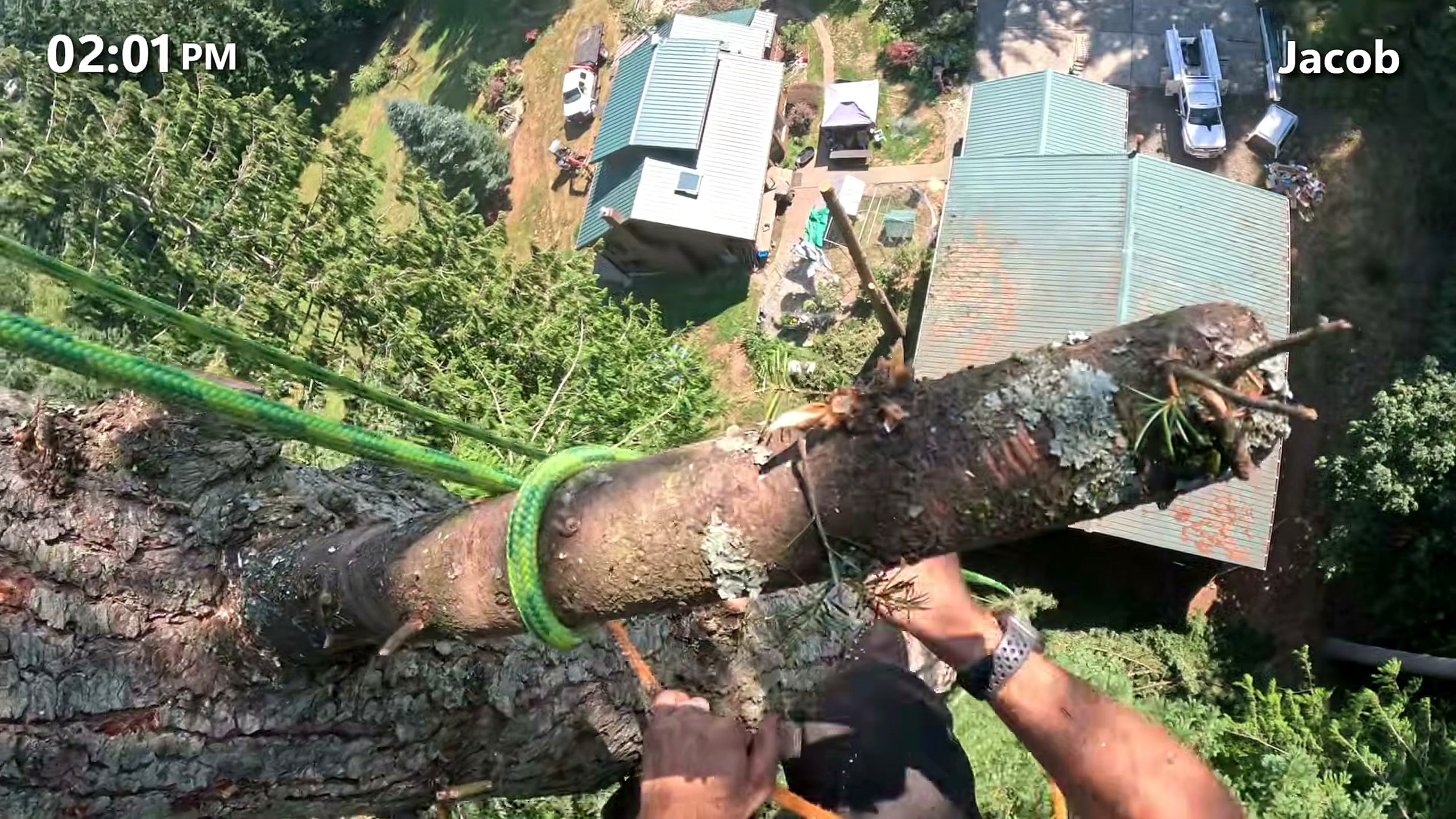these trees were twice tall thought - the later review stage where the result can be evaluated