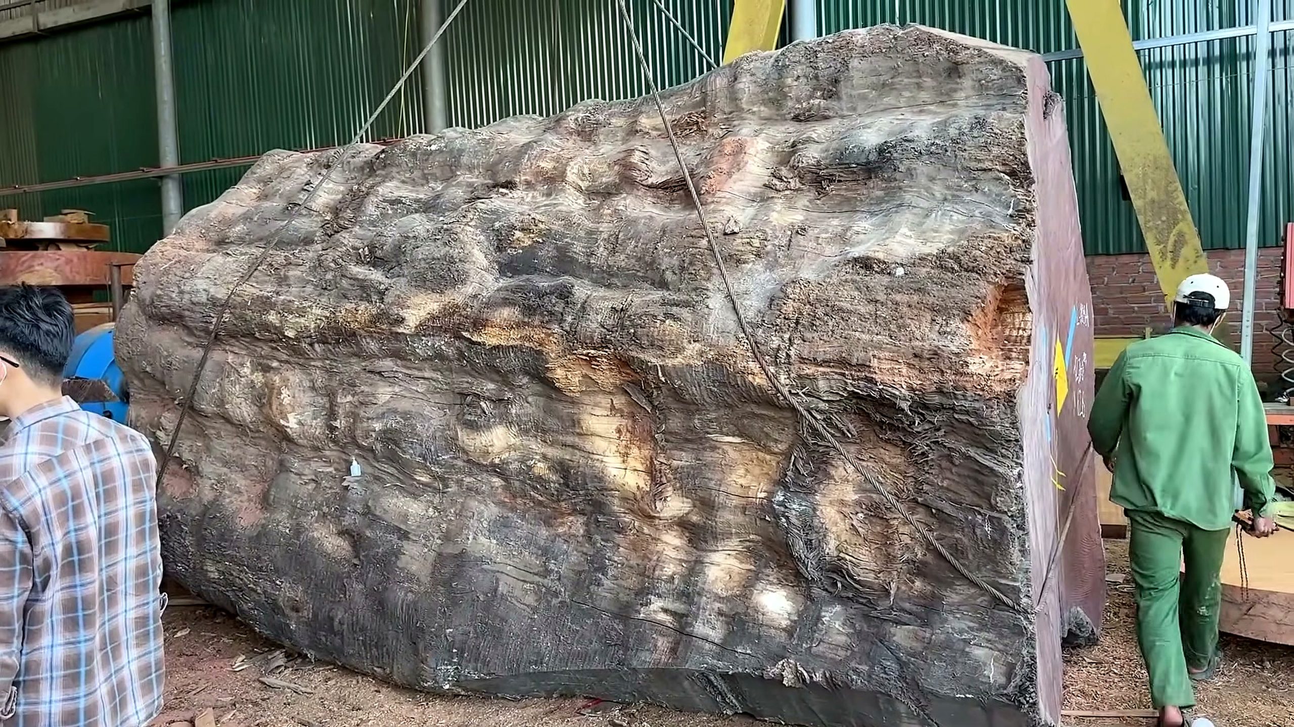 thorn-covered tree - the setup or early workflow visible in the source video