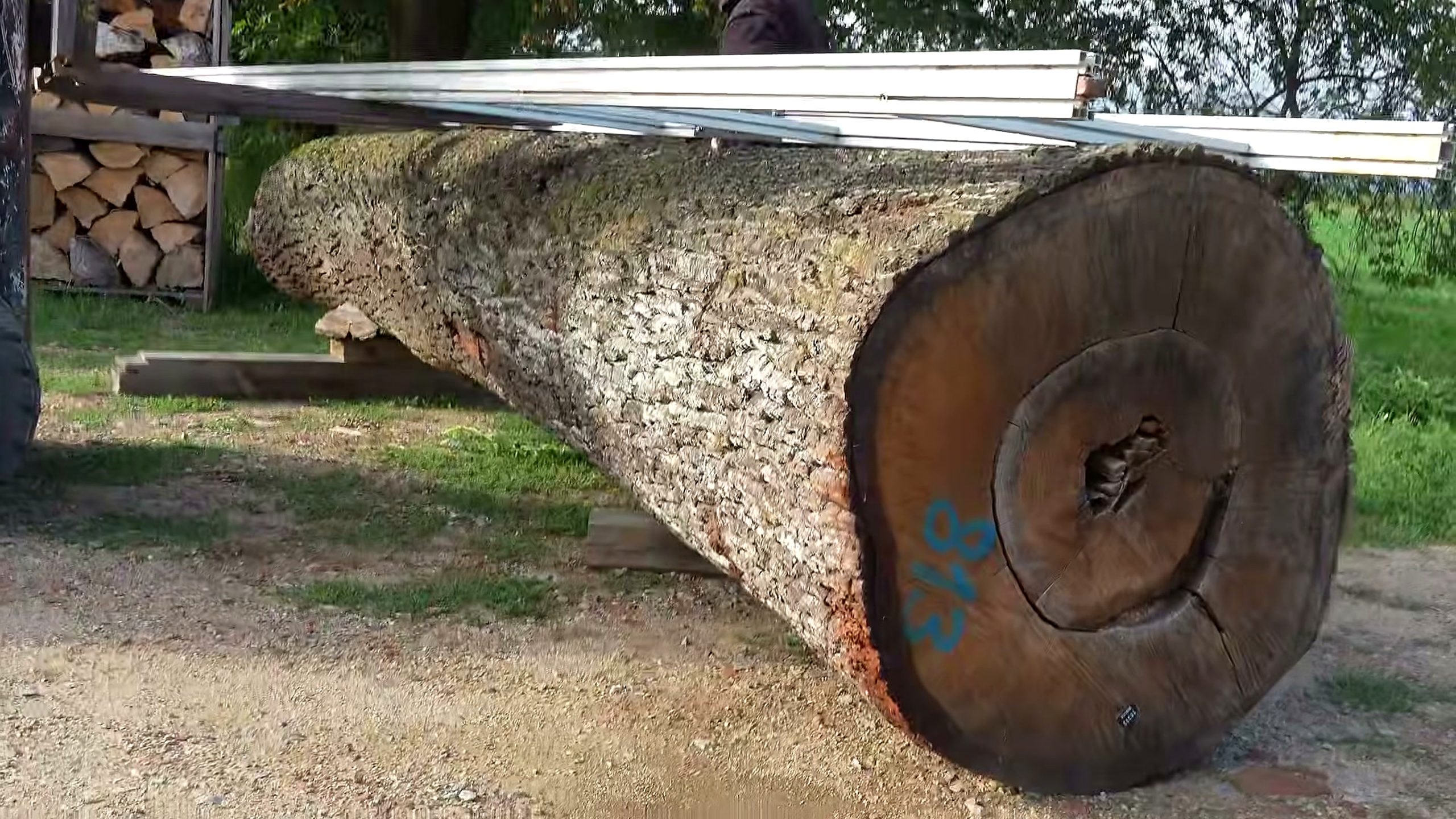 wide wood slabs - the source video context before the main process is judged