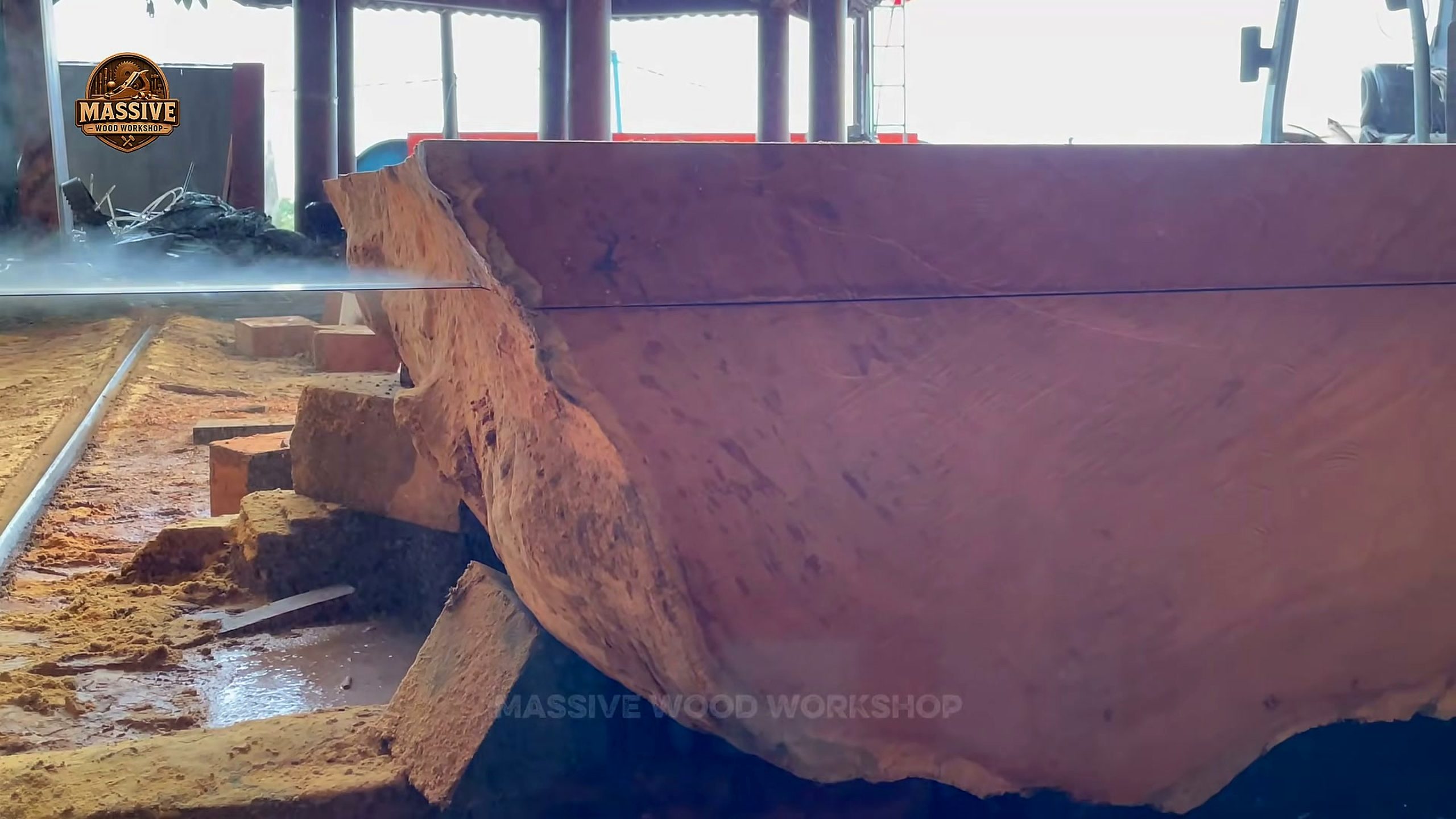 dangerous tree broad slab with a fresh reddish face and rough bark edge