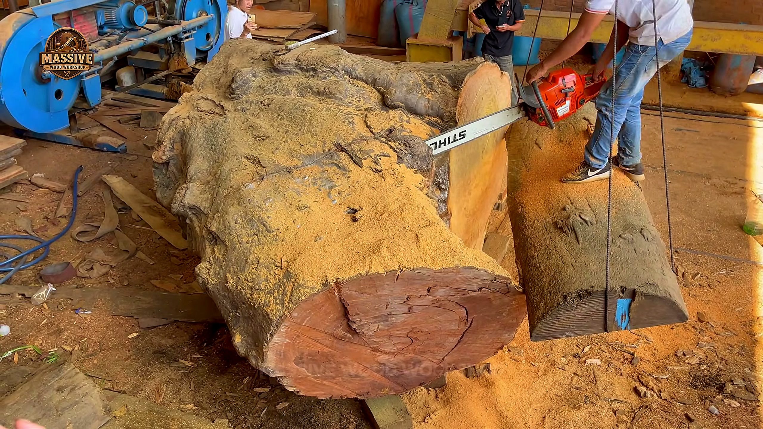 dangerous tree chainsaw trimming at the end of a large trunk