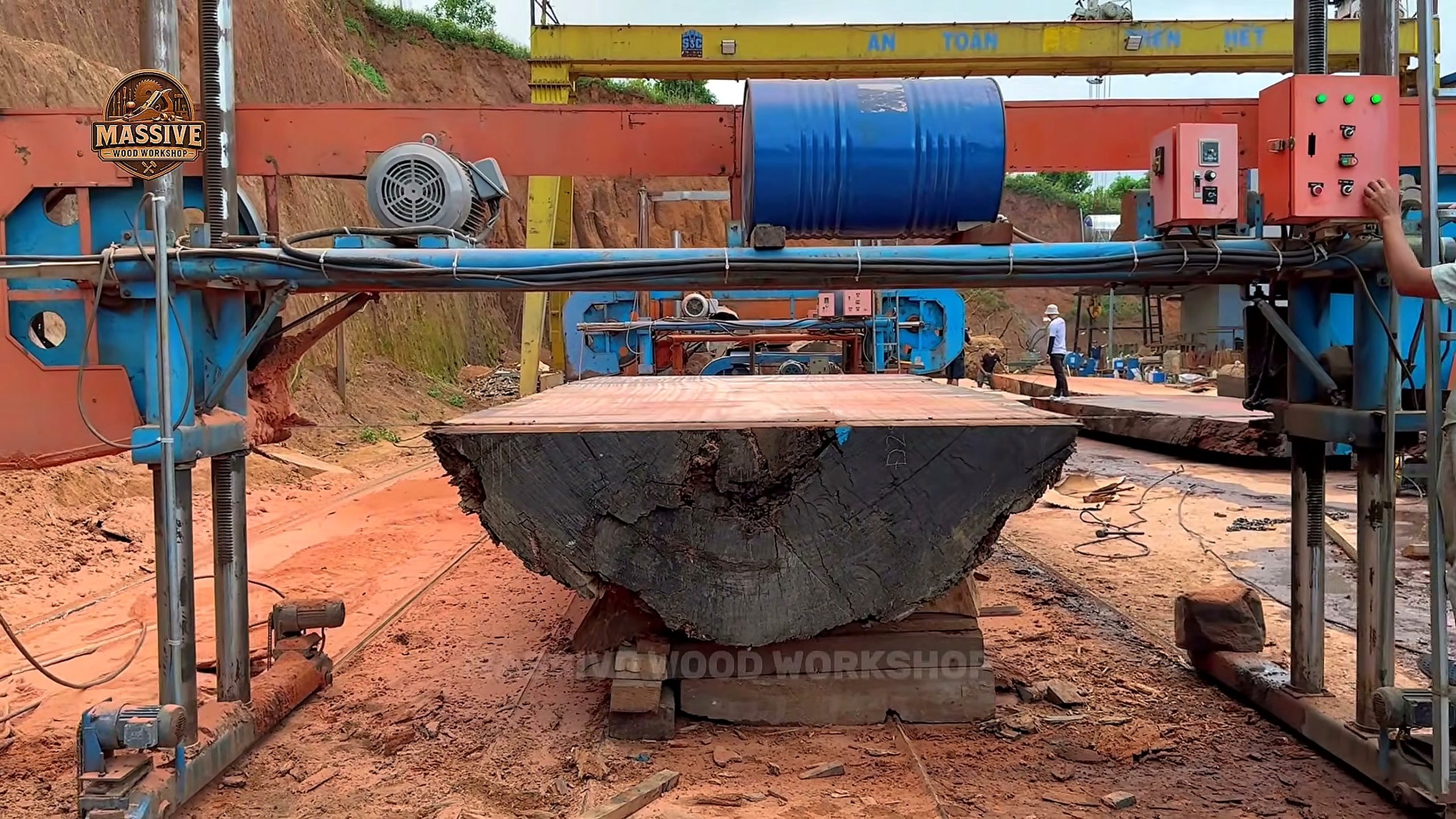 years nature transformed one legendary piece wood - the later review stage where the result can be evaluated